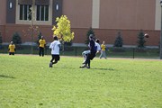 OTFL Gallery Image